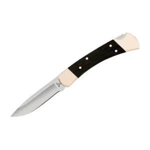 Buck 110 Folding Hunter