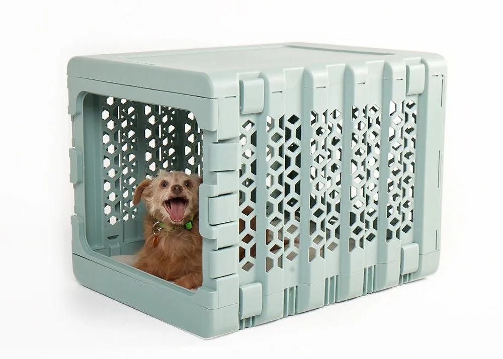 KindTail PAWD® Modern Collapsible Crate For Dogs & Cats (Light Green)