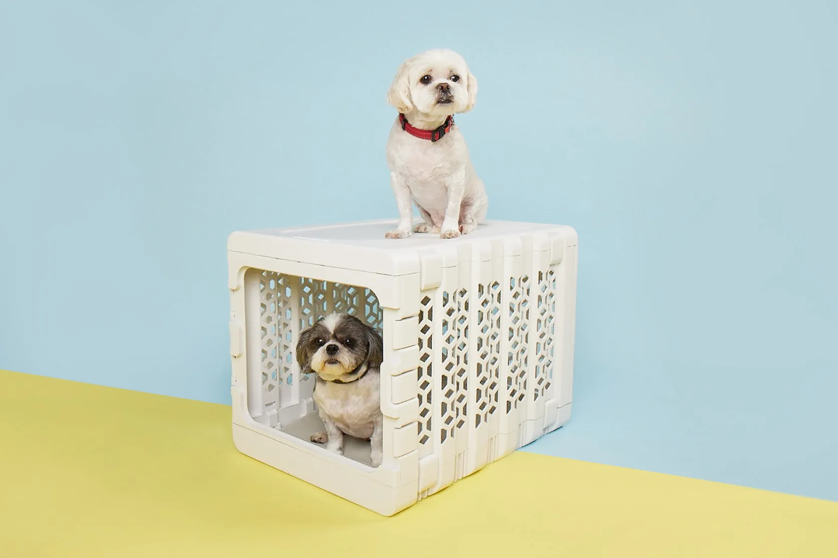 KindTail PAWD® Modern Collapsible Crate For Dogs & Cats (White)