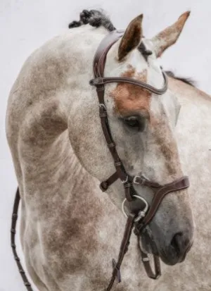 Nirak Snaffle Bridle